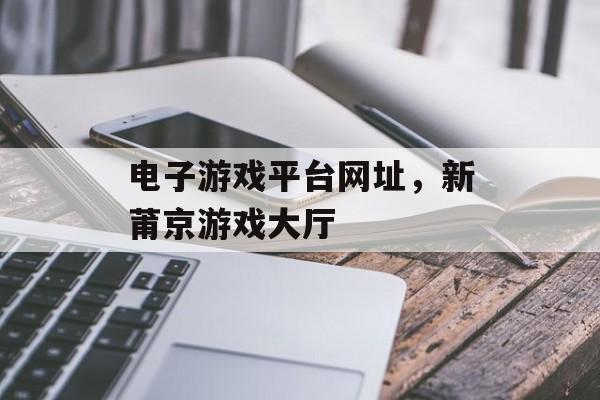 电子游戏平台网址，新莆京游戏大厅